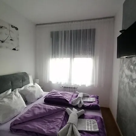 Gallery Square - Pupin Palace