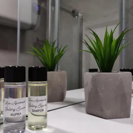 Gallery Square - Pupin Palace Apartment *